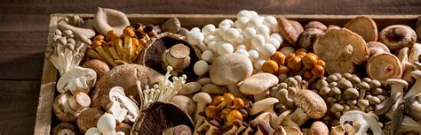 Mushrooms For Gout Is It Really Good For The Condition Get Rid Of Gout