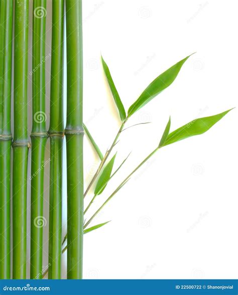 Zen Bamboo Stock Photography - Image: 22500722