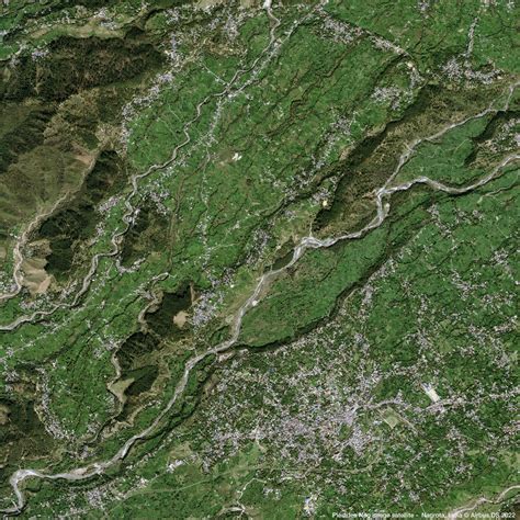 Kangra Tea in India high quality satellite image | Pléiades Neo