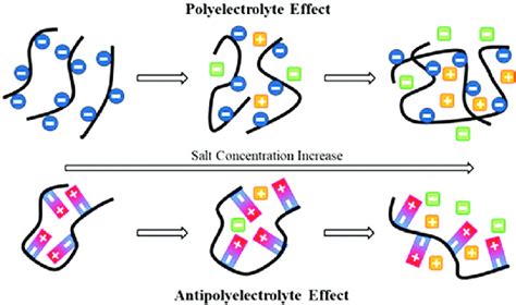 Schematic Representation Of Polyelectrolyte And Antipolyelectrolyte Download Scientific Diagram