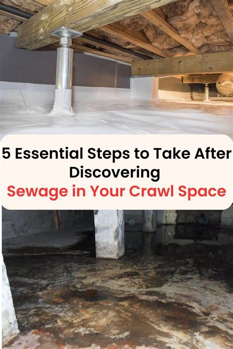 5 Essential Steps To Take After Discovering Sewage In Your Crawl Space