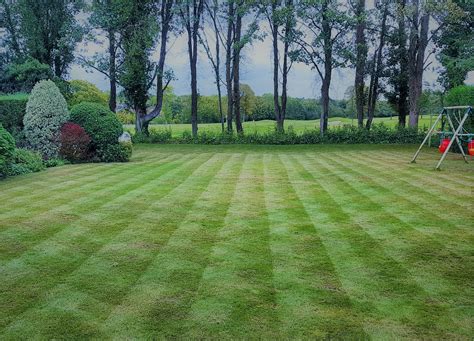 Lawnscience Fareham Lawn Care Local Experienced Trusted