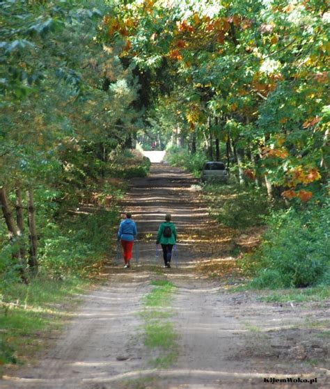 Postanowienia Noworoczne Nordic Walking