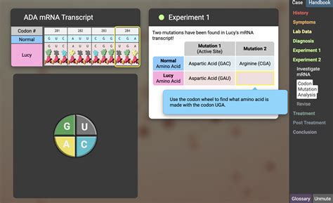 Solved Use the codon wheel to find out its amino acid is | Chegg.com