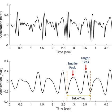 2 Visual Illustration Of Gait Phases And The Correponding Terminology Download Scientific