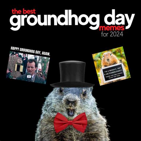 From Shadow To Sunshine Hilarious Groundhog Day 2024 Memes