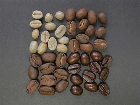 Coffee Flavors: What You Need To Know About Coffee Blends