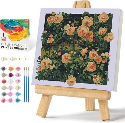 Prasio Framed Paint By Numbers Kit For Adults On Canvas 10 X 10 Flower Adult Paint