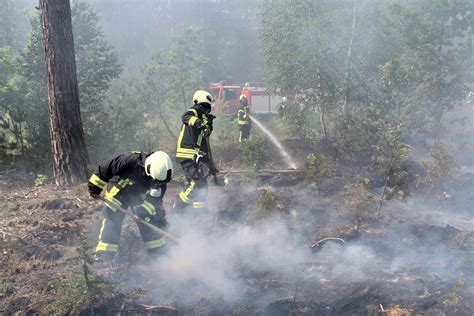 Feuerwehrleute Verhindern Ausbreitung Von Waldbrand