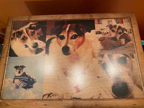 Custom Pet Lovers Keepsake Box Relic Wood