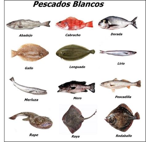 Pescado Azul O Blanco