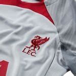 Liverpool T Shirt D Entra Nement Dri Fit Strike Gris Gris Rouge