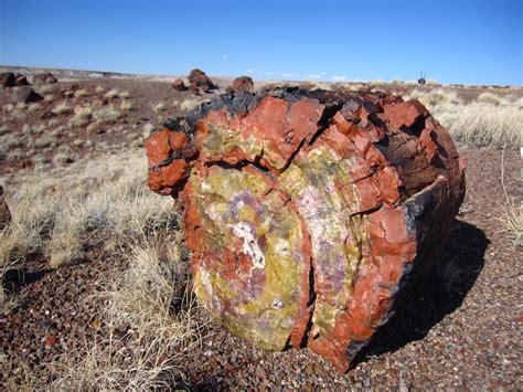 虹色の宝石になった森林米国アリゾナ州の化石の森国立公園 渡邉克晃公式サイト 地学博士のサイエンス教室 グラニット