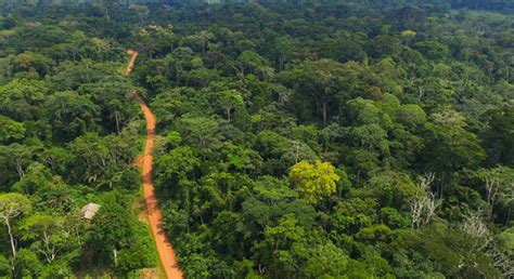 IUCN holds policy dialogue on forest landscape restoration in Ghana