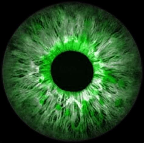 Download Green Eye Closeup Detail