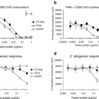 Lea Y Promotes Superior Inhibition Of T Cell Proliferative Responses