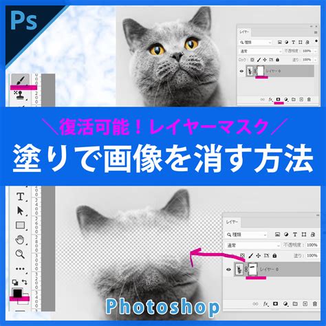 Photoshopで動画作成する方法①【タイムラインの使い方】パラパラ動画の作成 ぴよログ