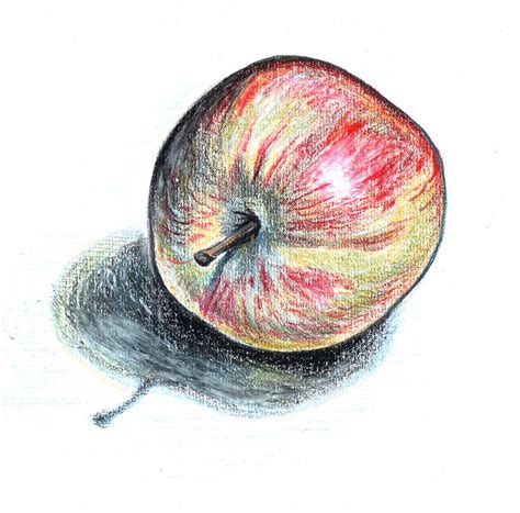 Sketch For Apple at PaintingValley.com | Explore collection of Sketch ...