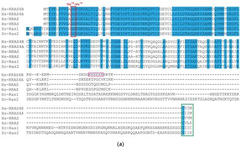 Figure 3 From The Yeast Saccharomyces Cerevisiae As A Model For