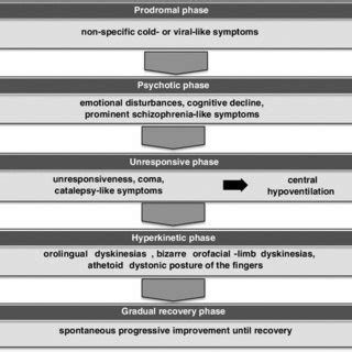 Schematics Of Clinical Course And Treatment Of The Patient Of Case 1