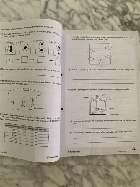 Science P5and6 Workbook Books And Stationery Textbooks Primary On Carousell