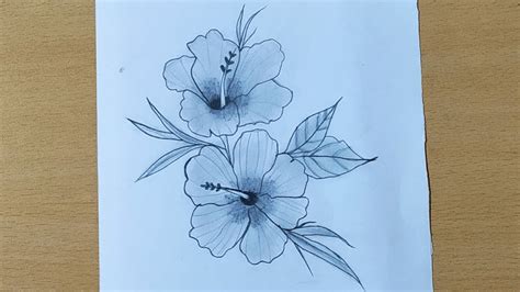 How To Draw A Hibiscus Flower Step By Step Pencil Shading Youtube