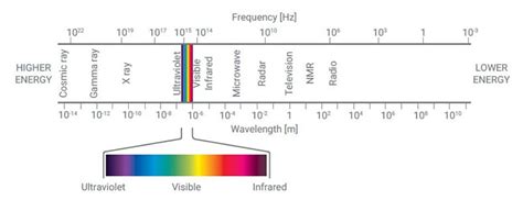 Appropriate Uses Of Visible Light Spectrophotometer | Shelly Lighting