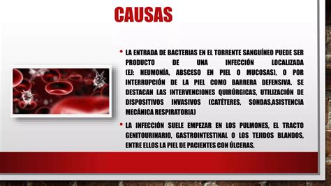 Bacterias En La Sangre Bacteriemia PPT