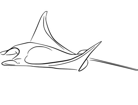 Manta Ray Coloring Pages Coloring Home