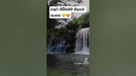 Place එක දන්න අය කියන් යමුද 😍නිදහස් තැනක් 😮‍💨😍viralsong Viralvideo Travel Viral Shorts