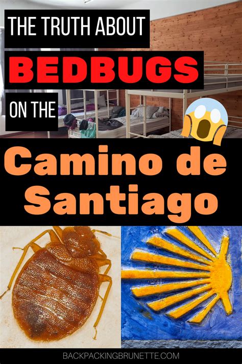 Camino De Santiago Albergues Where Do You Sleep On The Camino