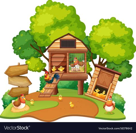 Chickens Lives In Chicken Coops Royalty Free Vector Image