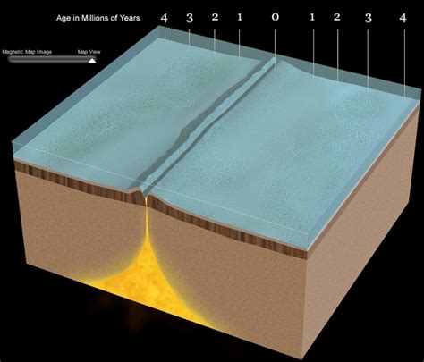 Evidence Of Seafloor Spreading