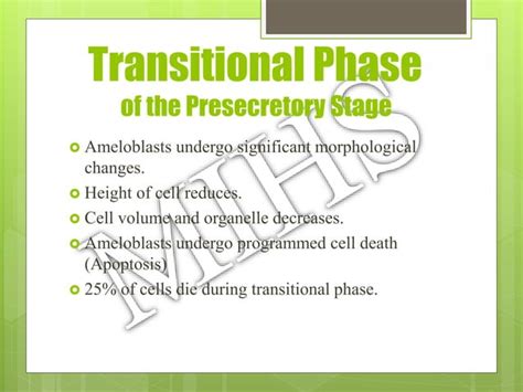 Amelogenesis Ppt