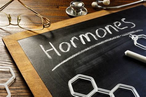 Balancing Hormones For Weight Loss Ehealth Hubs Expert Advice Ehealth Hubs