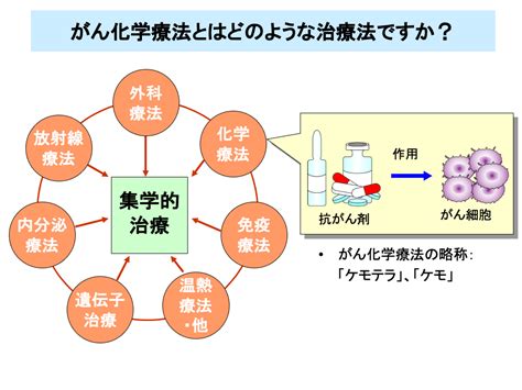 がん化学療法入門1 株式会社メディカルエデュケション