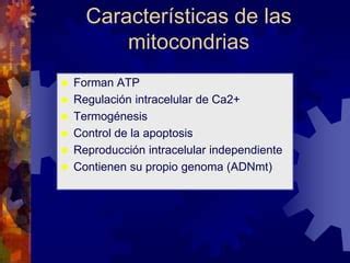 Herencia Mitocondrial Ppt Descarga Gratuita