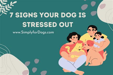 7 Signs Your Dog Is Stressed Out Controlling Tips Simply For Dogs