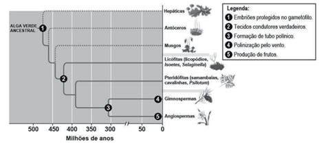 Blog de Biologia Questão de Biologia ENEM 2019 A aquisição