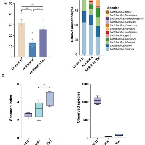 Effect Of Taurine Supplementation On Lactobacillus During Antibiotic