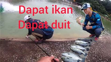 Casting Siakap Kolam Air Masin Guna Soft Plastik YouTube