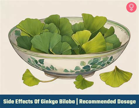 21 Side Effects Of Ginkgo Biloba Recommended Dosage