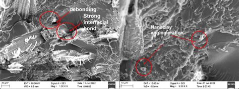 Sem Images Of P Nc A Showing Debonding In One Area And Strong