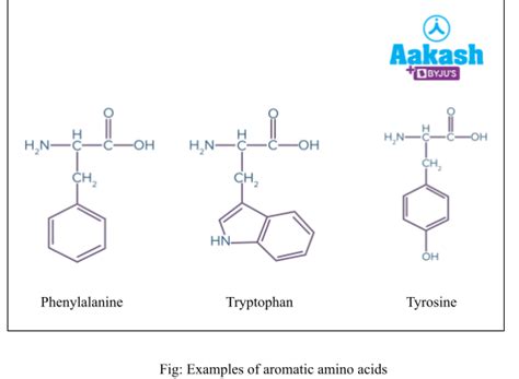 Amino Acids Structure Types And Isomers Of Amino Acids Aesl