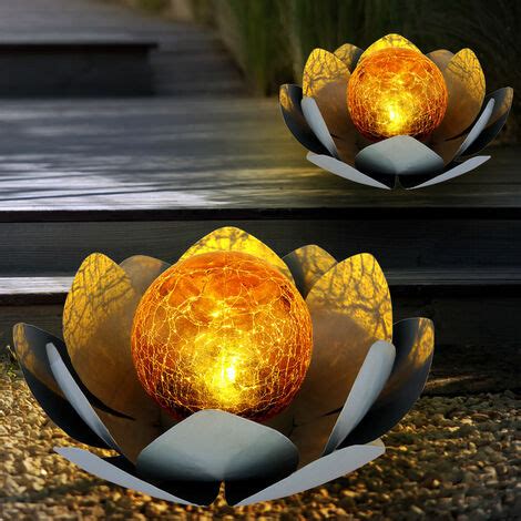 Lampe Solaire Flamme Design Ext Rieur Fleur Solaire Ext Rieur Fleur De