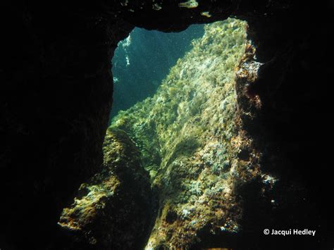 The Caves At Ghar Lapsi Malta Offer Some Stunning Sites A Popular