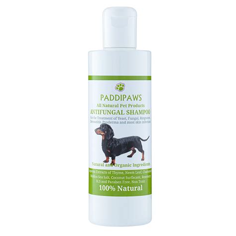 Buy 100% Natural Antifungal and Antibacterial Dog Shampoo - Yeast ...