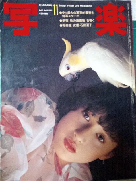 【傷や汚れあり】写楽 Shagaku 1982年11月号 石田夏子×篠山紀信14p 歌舞伎町16p 少女m×会田我路6p 松本伊代「広告」の