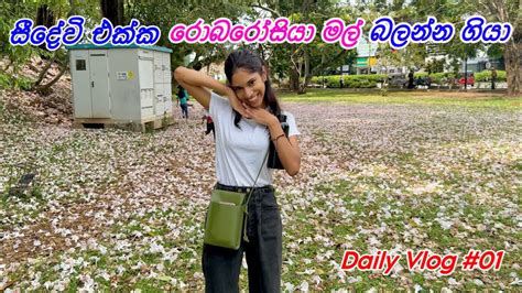 සීදේවි එක්ක රොබරසියා මල් බලන්න ගියා 🌸 Seedevi And Helaya සිංහල Vlog අපි ආපහු ආවා 😍 Youtube