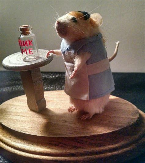 Drink Me Alice Taxidermy Mouse Etsy Funny Taxidermy Cute Rats